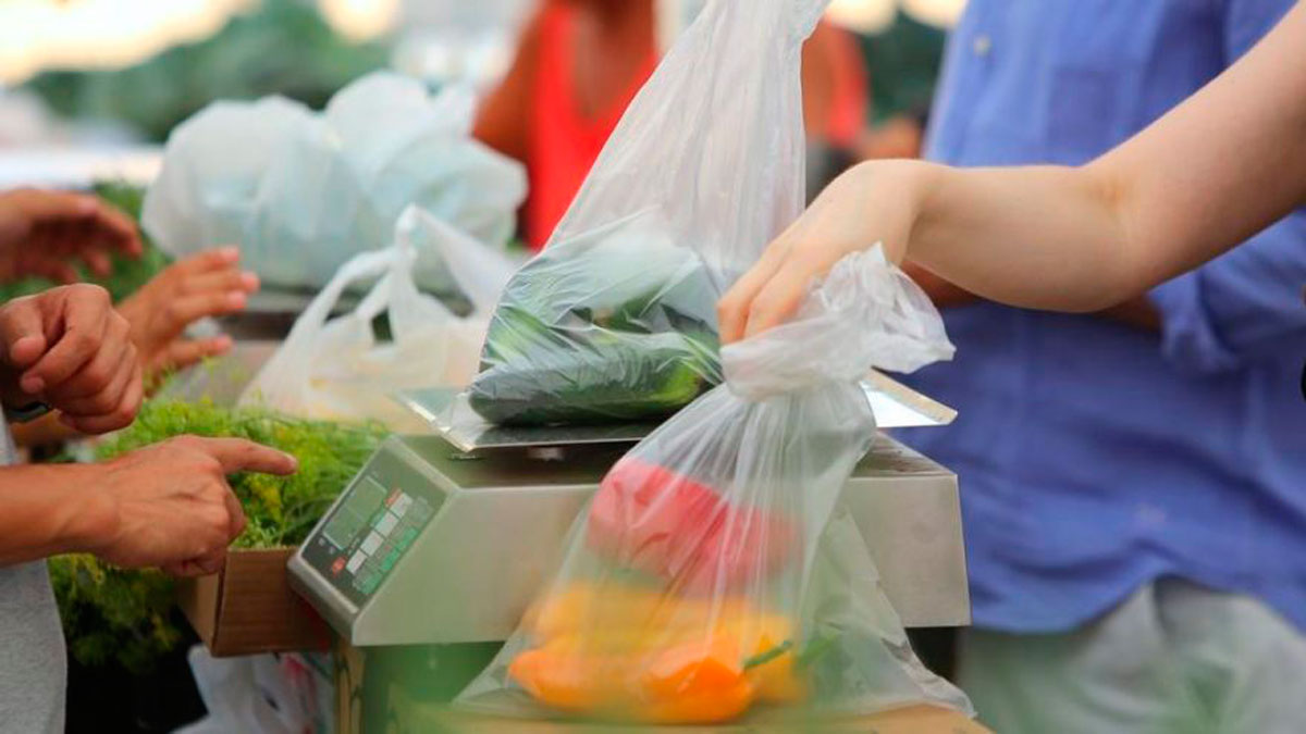 Almanya’da plastik poşet devri bitiyor