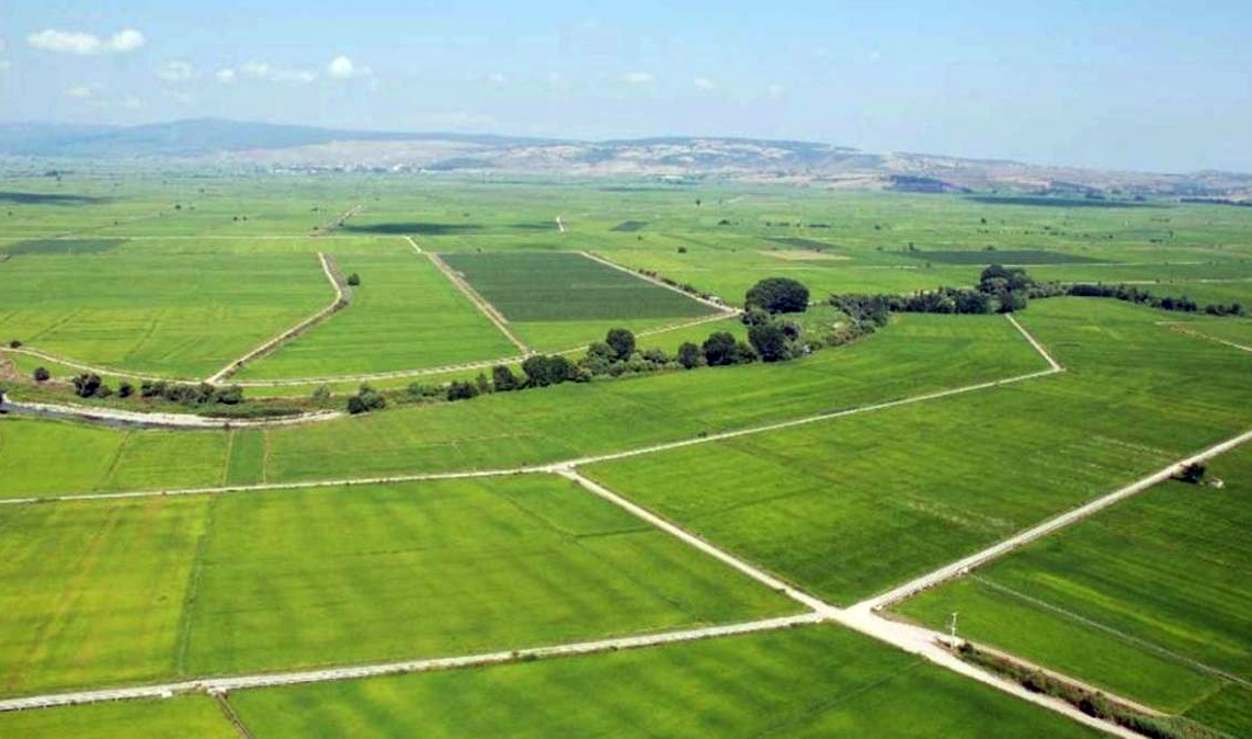 Arsalara ilgi artıyor