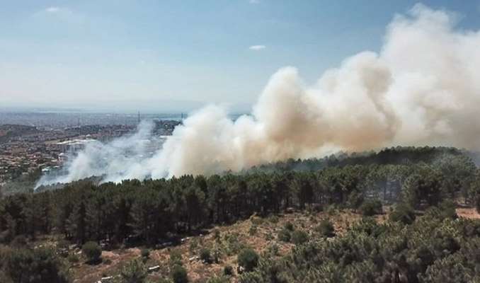 Aydos Ormanı