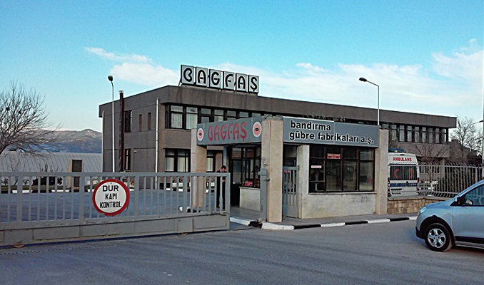 BAGFAŞ