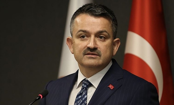 Bakan Pakdemirli: 16 günde 297 yangını kontrol altına aldık