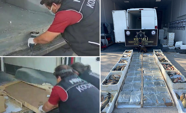 Balık yüklü kamyonette 53 kilo