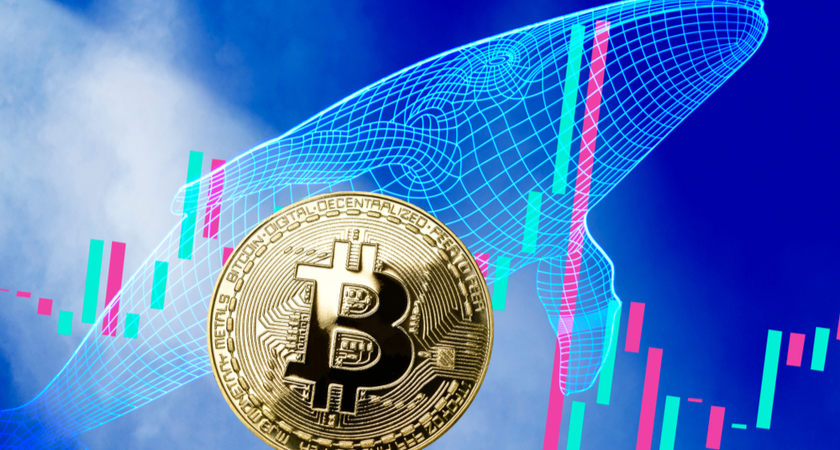Balinalar dipten Bitcoin topluyor