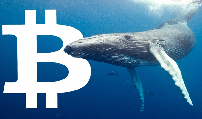 Bitcoin fiyatında dev bir ralli bekleniyor