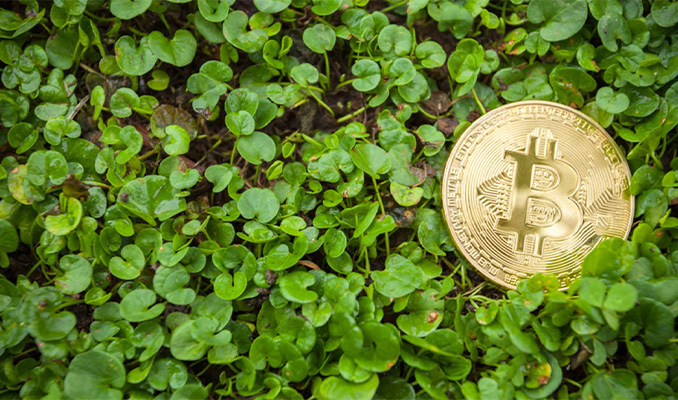 Bitcoin’in gerçekten çevre düşmanı mı?