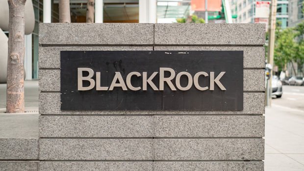 BlackRock: Fed tahvil alımlarını durdurmalı