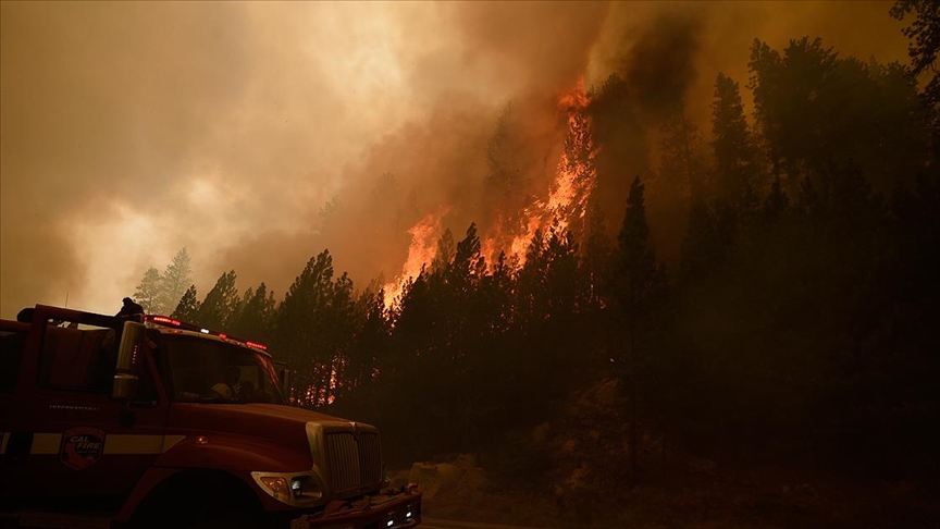 California ve Nevada