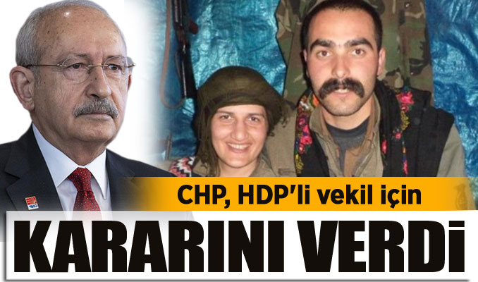 CHP, HDP