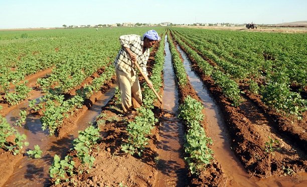 Çiftçiye müjde: TRT payı kalkıyor