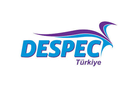 Despec Bilgisayar, Samsung
