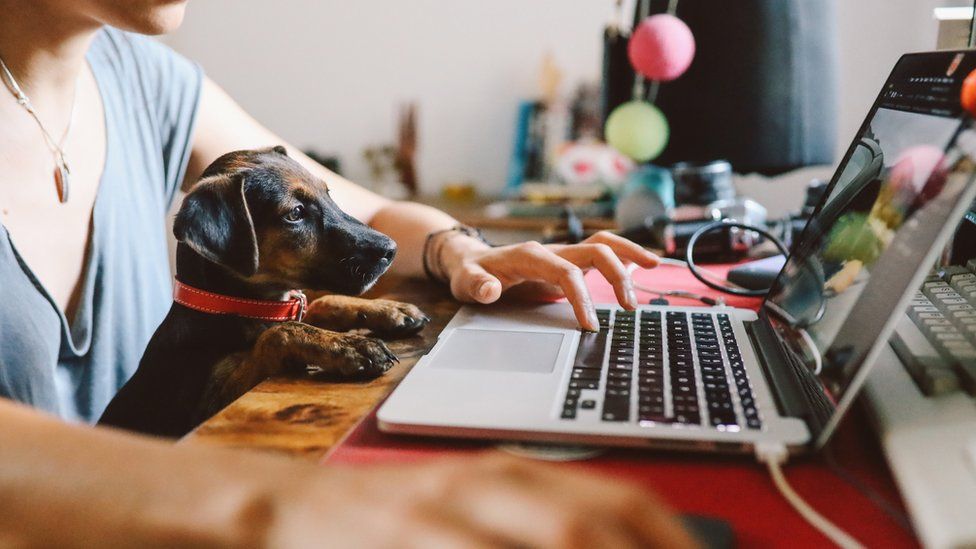 Facebook çalışanları ofise dönmeyecek