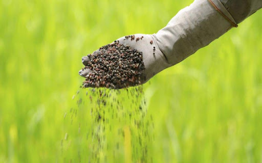 Gübre kıtlığı gıda krizini tetikleyebilir