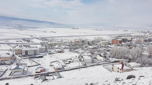 Hakkari
