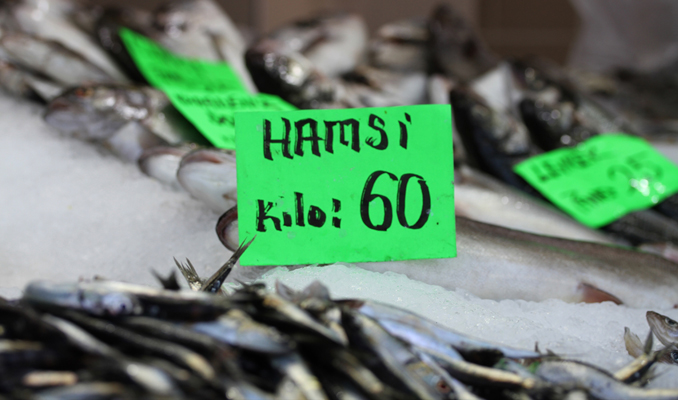 Hamsinin kilosu 60 lira