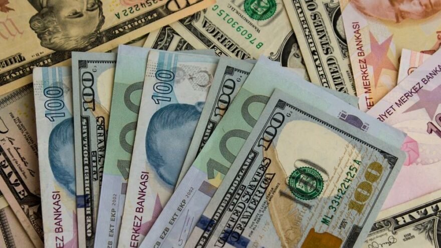 İsviçre Merkez Bankası döviz alımlarına devam ediyor