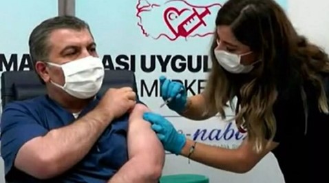 Koca:
