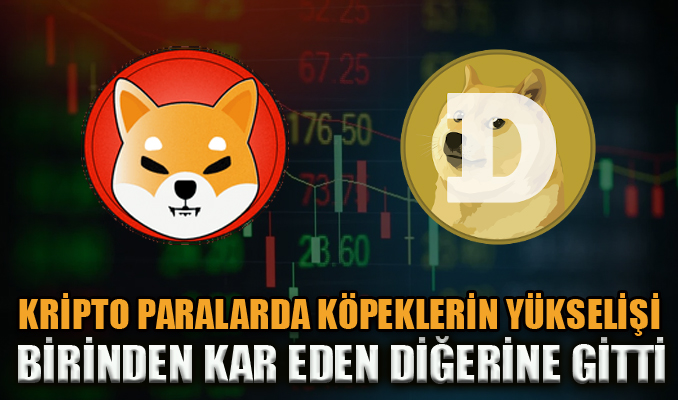 Kripto paralarda köpeklerin yükselişi: Birinden kar eden diğerine gitti